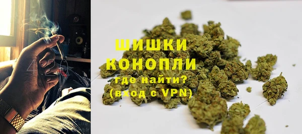 тгк Апатиты