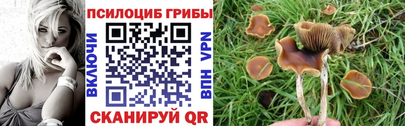 Псилоцибиновые грибы Magic Shrooms  Иноземцево 